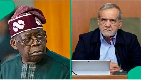 Iran has offered to back Nigeria in its struggle against violent extremism and insurgent groups.